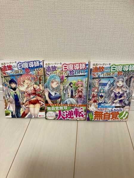 勇者パーティーを追放された白魔導師、Sランク冒険者に拾われる コミックス 3冊セット
