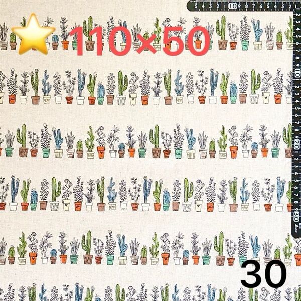 ★30生地/サボテン柄【110cm×50cm 】(★マーク生地どれでも3点999円)