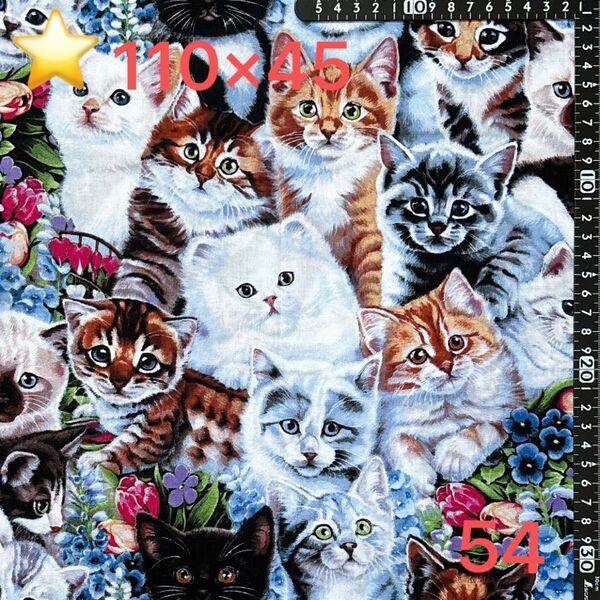 ★54USAコットン生地/猫柄【110cm×45cm】(★マーク生地どれでも3点999円)