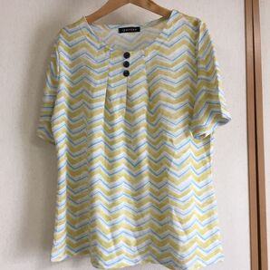 ジグザグ模様 半袖カットソー M〜L