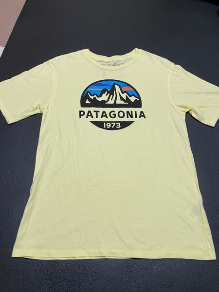 Patagonia パタゴニア Tシャツ