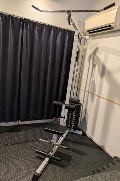 WILD FIT 200 ラットプル マシン 静音ウェイト ホームジム ケーブル トレーニング 筋トレ ワイルドフィット