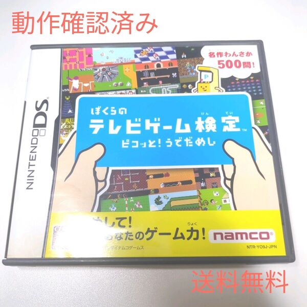 ぼくらのテレビゲーム検定 ピコッと!うでだめし 任天堂 ニンテンドーDS ソフト カセット