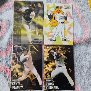 プロ野球チップス 2025 カード 第1弾 福岡ソフトバンクホークス 14枚 準コンプリートセット おまけ付き 近藤 モイネロ 等