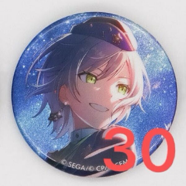 プロセカ 日野森志歩 グリッター缶バッジ グリ缶 vol.40A レグルス