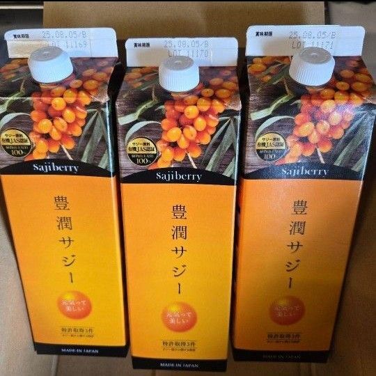 豊潤サジー 1000ml 3セット