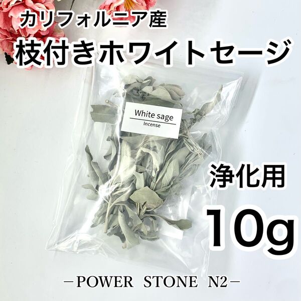 ◆空間・天然石の浄化に◆ 【高級】枝付き ホワイトセージ【10g】【カリフォルニア産】/お香