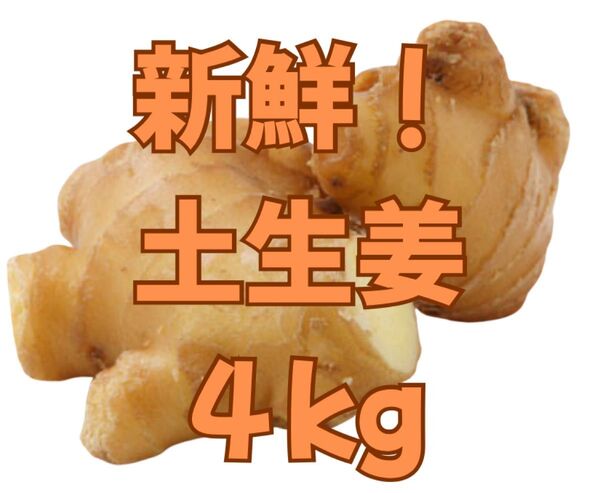 新鮮!A品 和歌山県産土生姜 4kg正規品