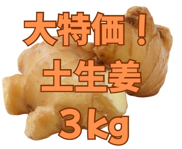 新鮮!A品 和歌山県産土生姜 3kg正規品