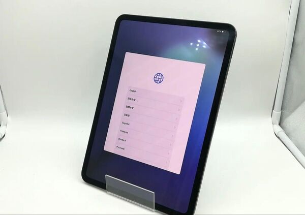 バッテリー100% iPad Pro 11インチ 第5世代 第五世代 256GB M4 2024年モデル Wi-Fiモデル