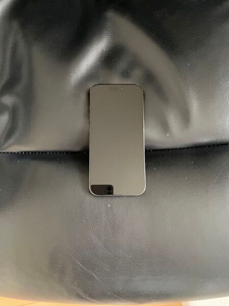 AppleCare有り iPhone15 Pro 256GB SIMフリー