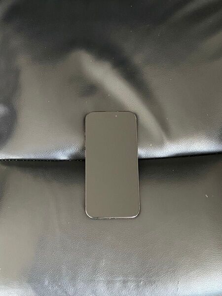 AppleCare有り iPhone15 Pro 1TB SIMフリー