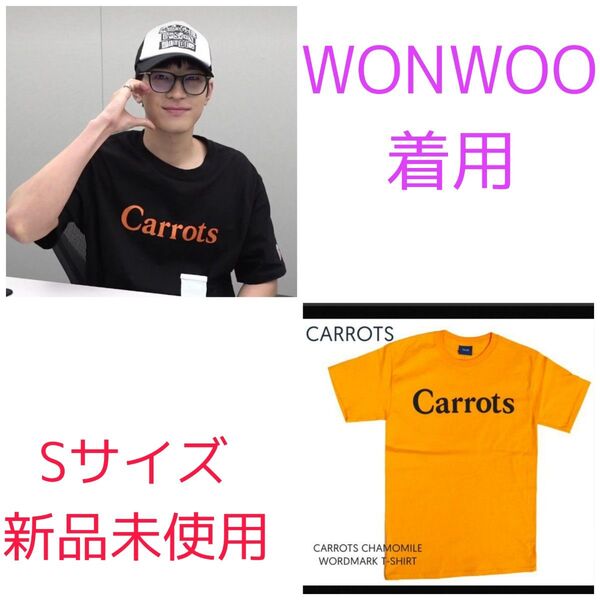 Carrots By Anwar Carrots キャロッツ Tシャツ 半袖 Carat ウォヌ WONWOO ヒュニンカイ着用
