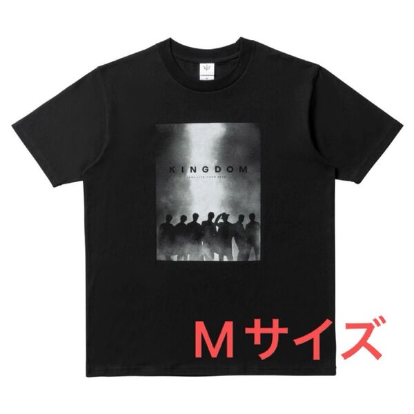 三代目 JSB KINGDOM フォトTシャツ Mサイズ