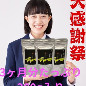 大特価!猛暑到来につき、厳しく長い夏、熱中症予防に、守ろう自分の体、汗に奪われる“元気”を補う田七人参で内側からチャージ!