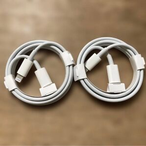 Apple純正 新品 Lightningケーブル Type-C 2個セット ライトニングケーブル iPhone