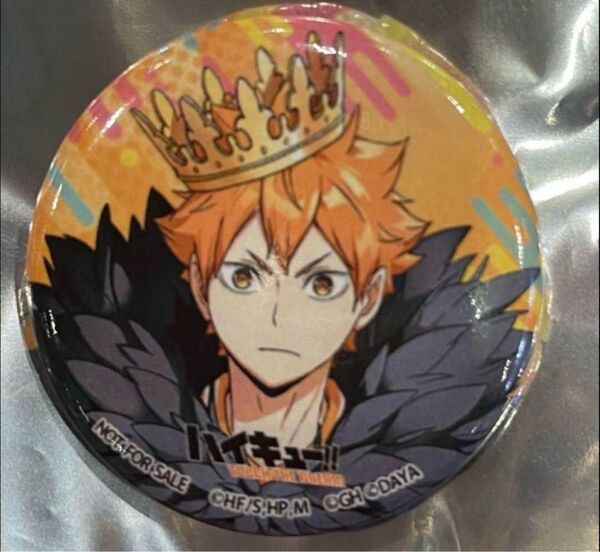 ハイキュー fan park ファンパーク ハイドリ 缶バッジ 日向翔陽