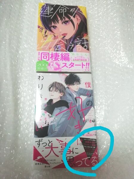 【初版、 新品・未開封、 帯・シュリンクあり】 運命の人に出会う話、 僕らの好きはわりきれない、透明ブックカバー同封