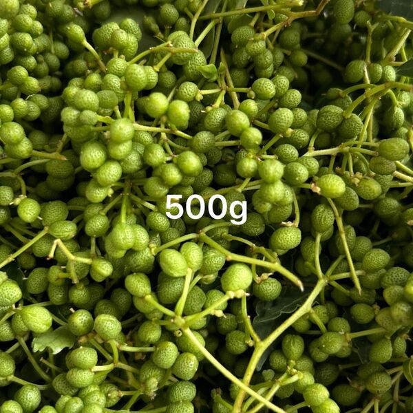 実山椒 500g