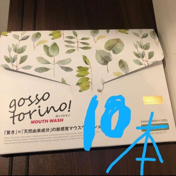 gossotorino! gosso torino! ゴッソトリノ ゴットソリノ マウスウォッシュ トゥースウォッシュ 10本箱無