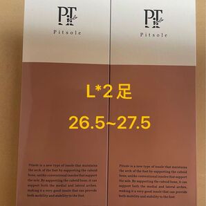 【正規品】pitsole ピットソール Lサイズインソール 2足