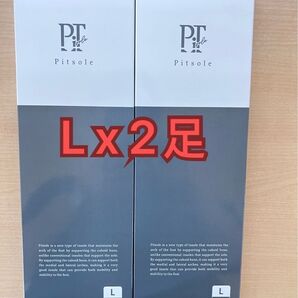 【正規品】pitsole ピットソール Lサイズインソール 2足