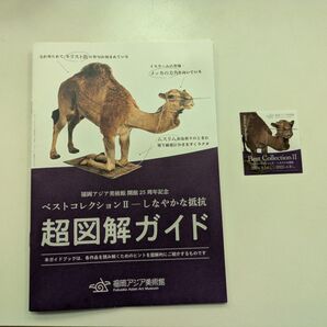 福岡アジア美術館 ベストコレクションⅡ しなやかな抵抗パンフレット & ステッカー