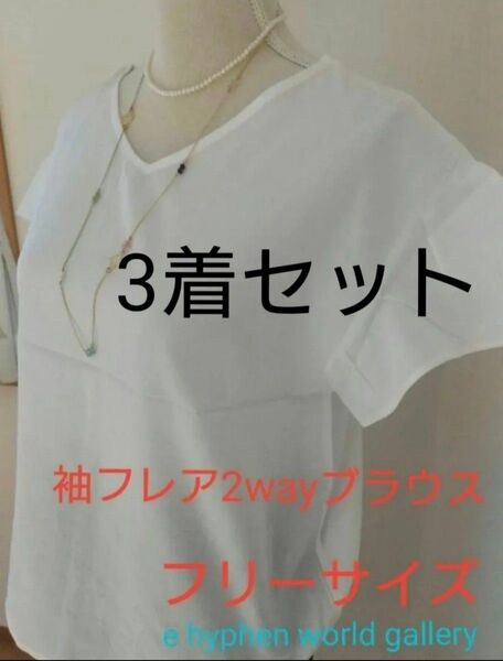 定価3289円 ehyphen ブラウス フレア 半袖 レディース ブラウス