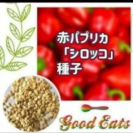 【同梱で50円値引き】赤 パプリカ シロッコ 種子 60個