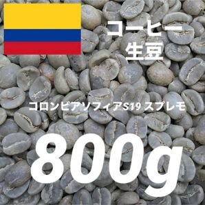 コロンビア スプレモ ソフィアS19 コーヒー生豆