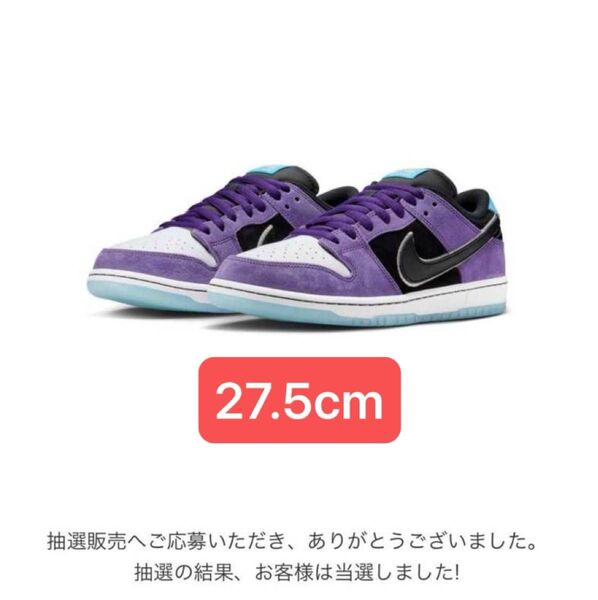 Hayley Wilson × Nike SB Dunk Low Pro "Black and Court Purple"