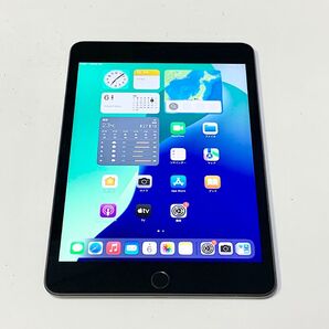 6/6にバッテリー新品交換 ★ iPad mini 5(第5世代)7.9 64GB グレイ SIMフリー ★ 新品同様の超美品