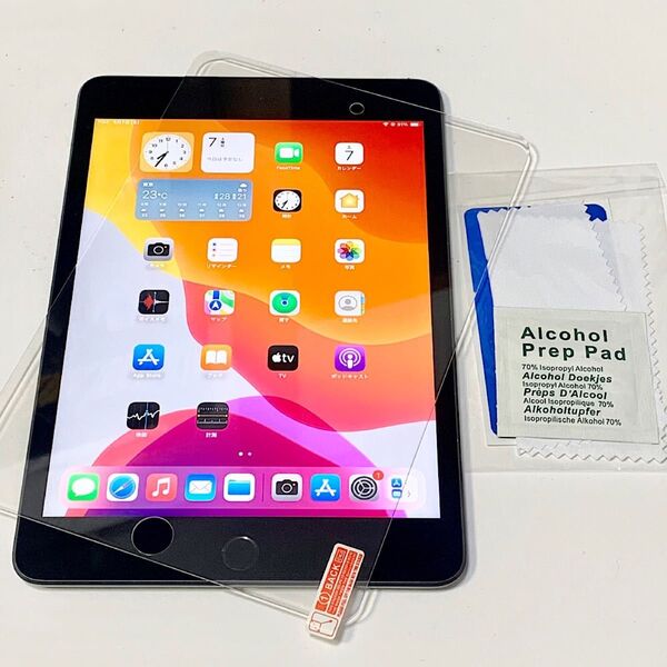 6/5に画面新品交換 ★ iPad mini 5(第5世代)7.9インチ 64GB グレイ Wi-Fi ★ 超美品 ★
