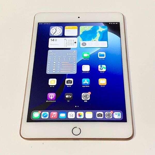 6/15にバッテリー新品交換 ★iPad mini 第5世代 7.9インチ 256GB ゴールド Wi-Fi 新品同様の超美品