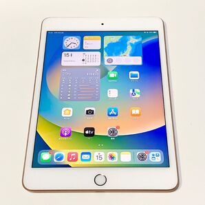 6/15にバッテリー新品交換 ★ iPad mini 第5世代 7.9インチ 256GB ゴールド SIMフリー ★ 超美品