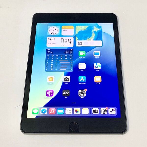 新品同様 充電10回 100%★ iPad mini 第5世代 7.9インチ 64GB グレイ SIMフリー 保護フィルム