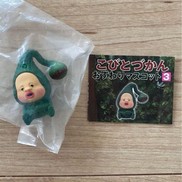 こびとづかん マモリコモリ おすわりマスコット 3 ガチャガチャ フィギュア マスコット