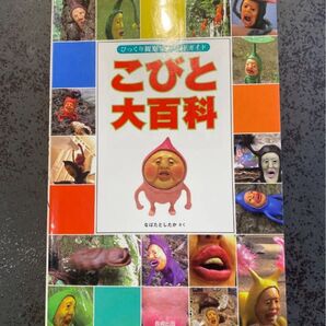 こびと大百科 なばたとしたか こびとづかん 本