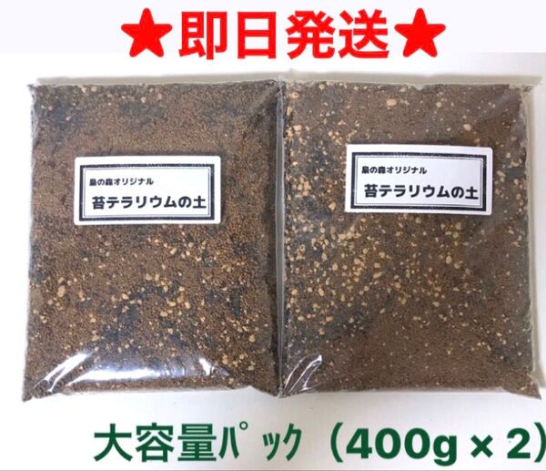 ★即日発送★苔テラリウム用ブレンド土 大容量パック(400g×2)L829