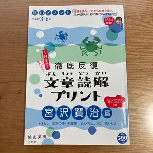 陰山メソッド 徹底反復 文章読解プリント 宮沢賢治編