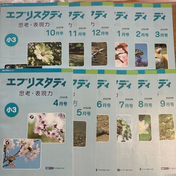 Z会 エブリスタディ 思考・表現力 小3 2022年4月〜2023年3月号 まとめ売り