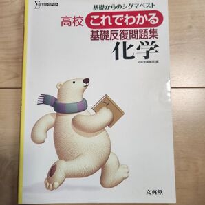 高校これでわかる基礎反復問題集 化学