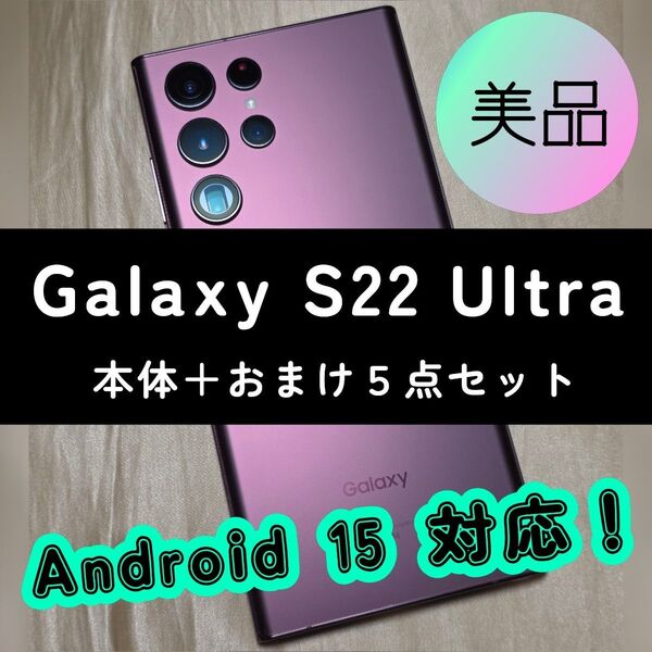 Galaxy S22 Ultra バーガンディ 256GB おまけ付き ガラスフィルム バンドつきレザーケース モバイル充電器