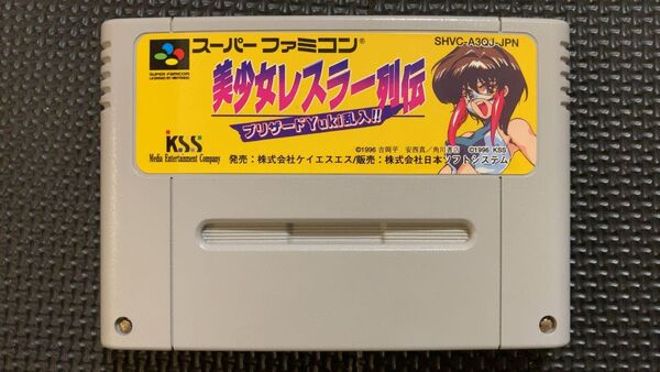 【レア・美品】美少女レスラー列伝 ブリザードYuki乱入!! 【SFC/スーパーファミコン】