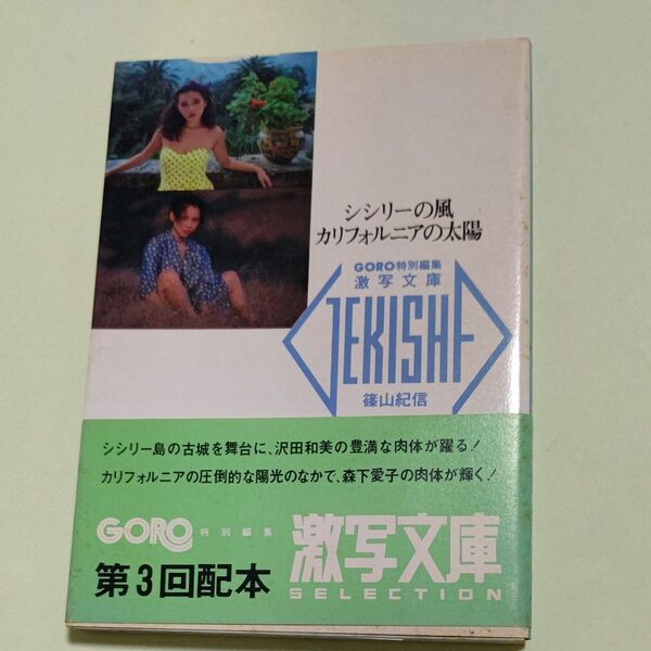 激写文庫14 シシリーの風カリフォルニアの太陽 GORO特別編集 小学館 初版帯付き