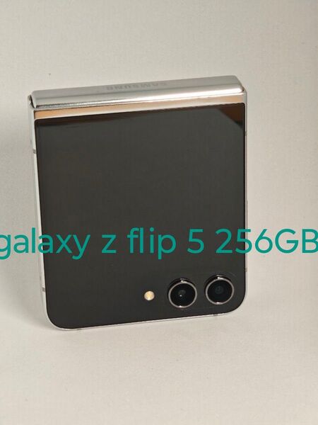 galaxy z flip 5 256GB