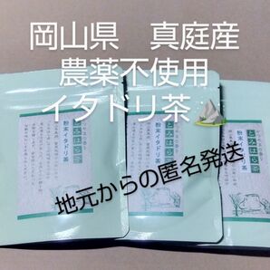 いたどりパウダー 簡単便利な粉末 富原製茶 粉末イタドリ茶 3袋 農薬不使用 痛み軽減 メタボに