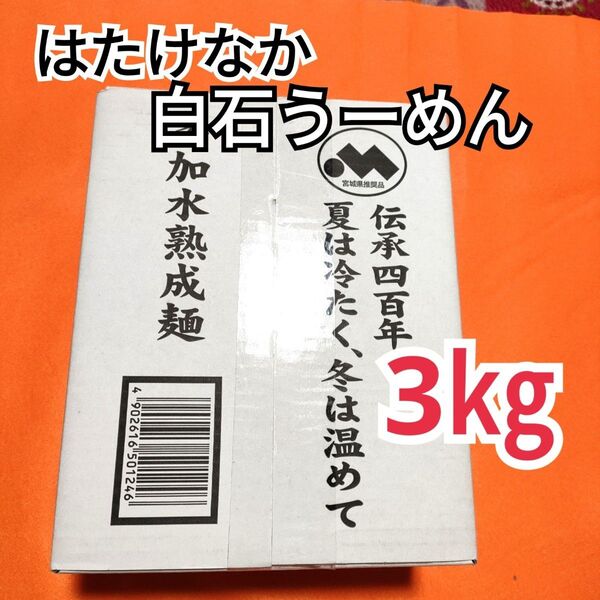 ★★1ケース売り みやぎの特産品はたけなか白石温麺3kg 分・300g ×⑩袋