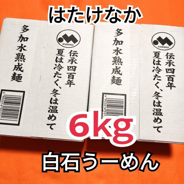 みやぎの特産品はたけなか白石温300g ×10袋入り ②ケース売り 計6㎏分