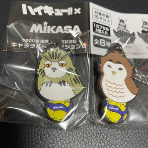 ハイキュー!!xMIKASA キャララバーコレクション2 ボクトフクロウ アカアシフクロウ 梟谷